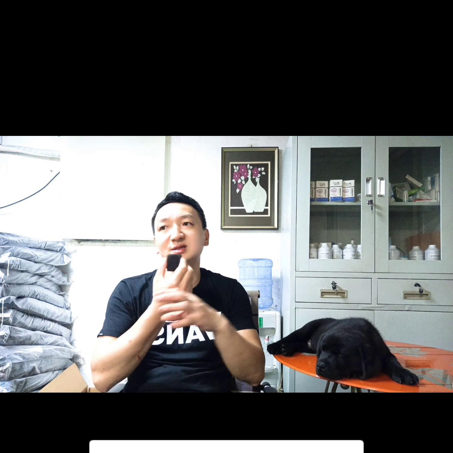 同窝小马犬怎么选,同窝最小的幼犬