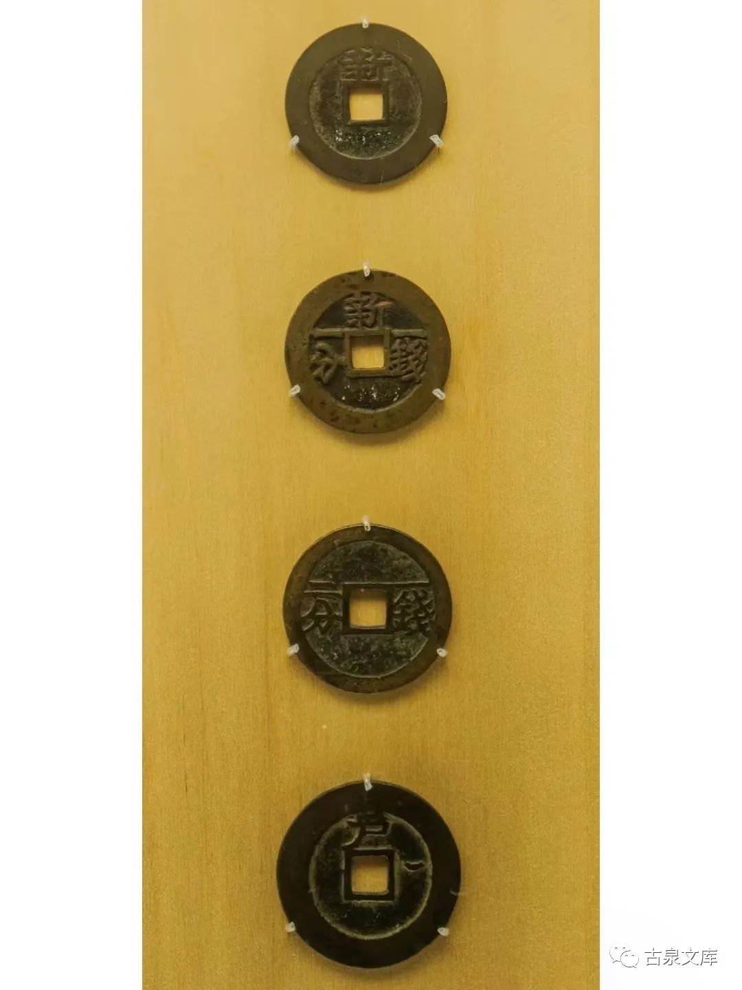 崔淳钱币专家,崔淳钱币