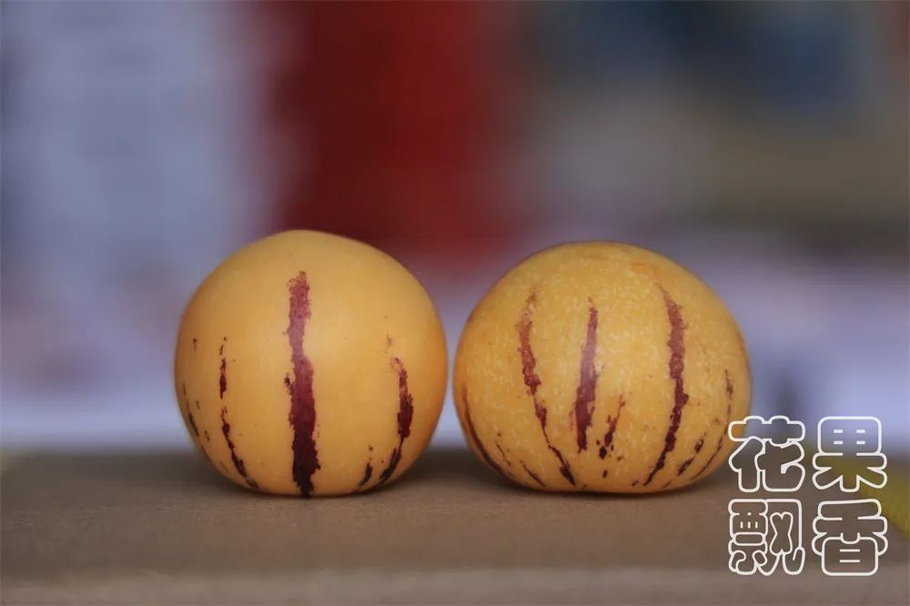 成本8毛，最高售价10元，这个“难吃”水果居然是个难得的致富果