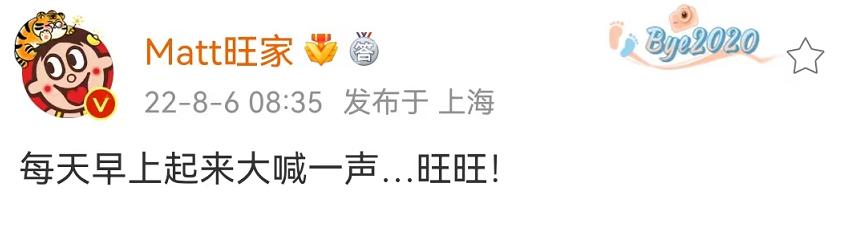 旺旺被误伤,旺旺遭人半夜攻击