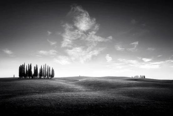 怎么识万物,识万物扫一扫准确吗