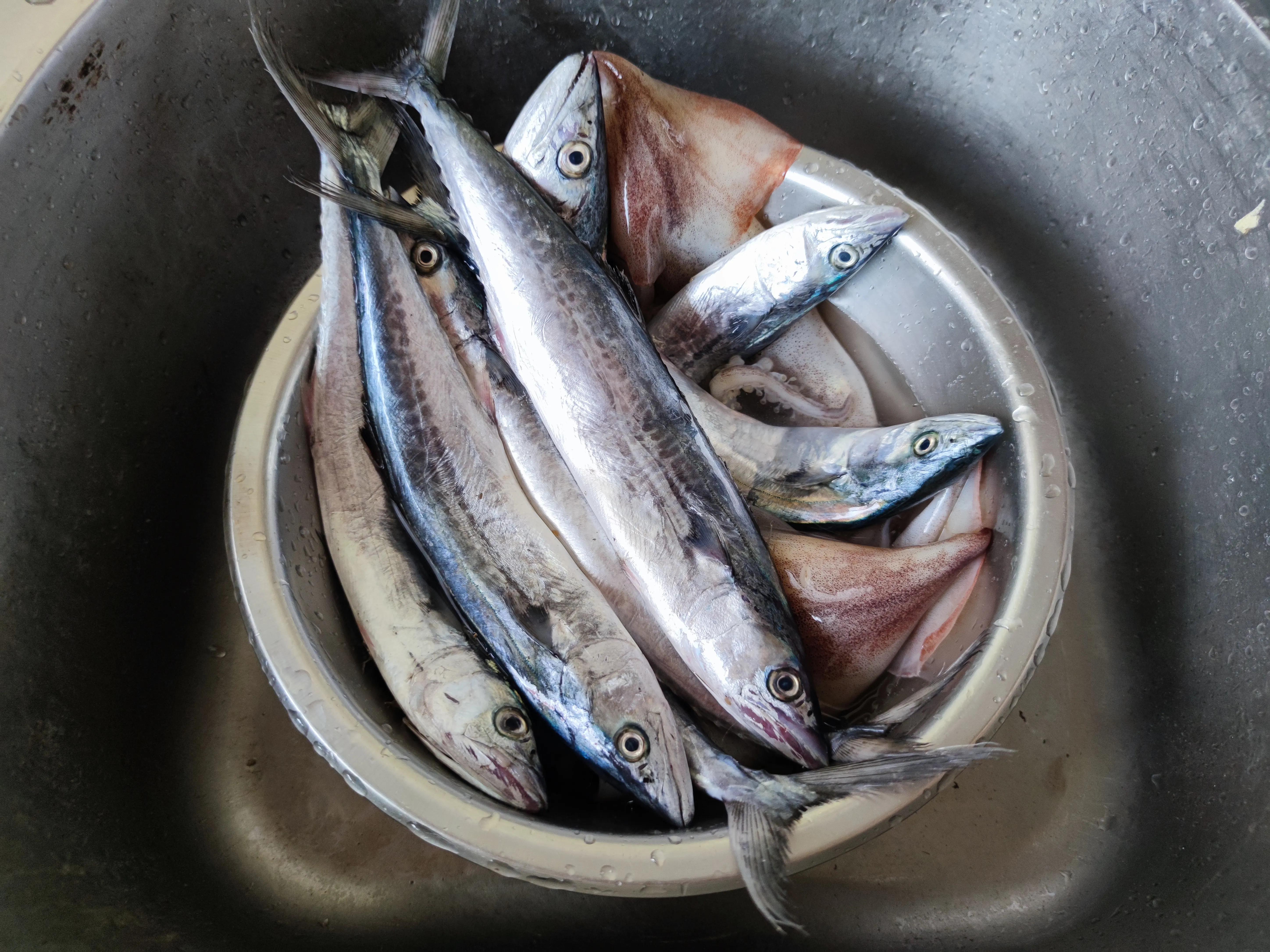 立冬后应季菜,立冬过后什么鱼最好