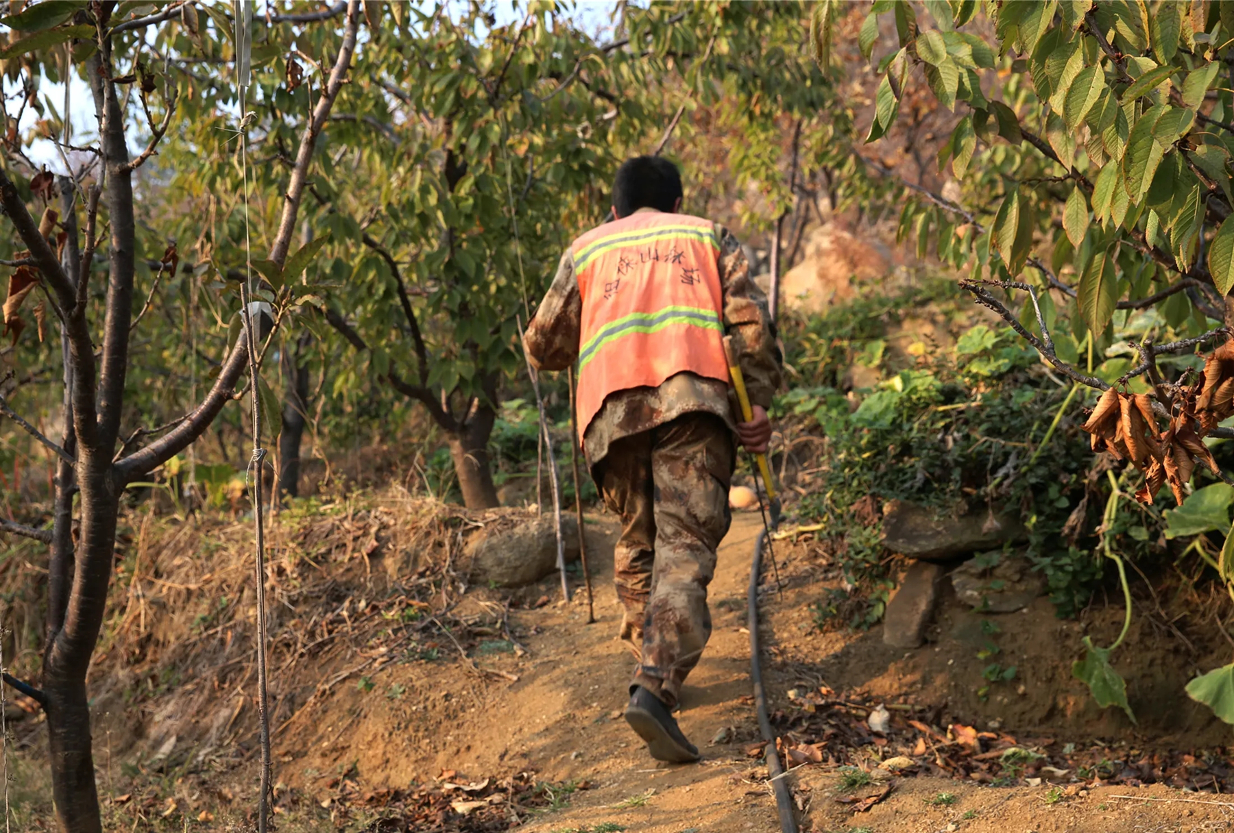 湖北母女被抛尸案,林场杀人案背后的故事