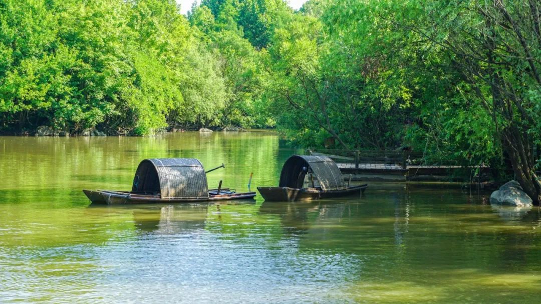 100首最美夏天诗句,10首最美春风诗词