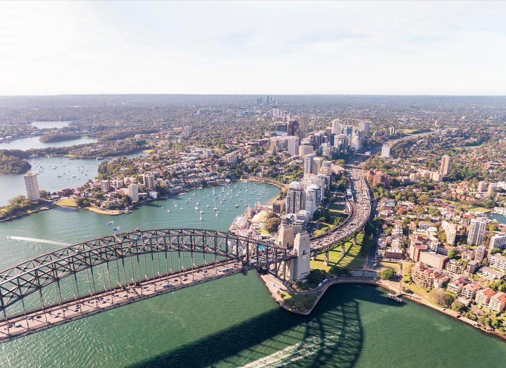 硕士回村做养殖一年净赚10万元,养山羊一年赚40万