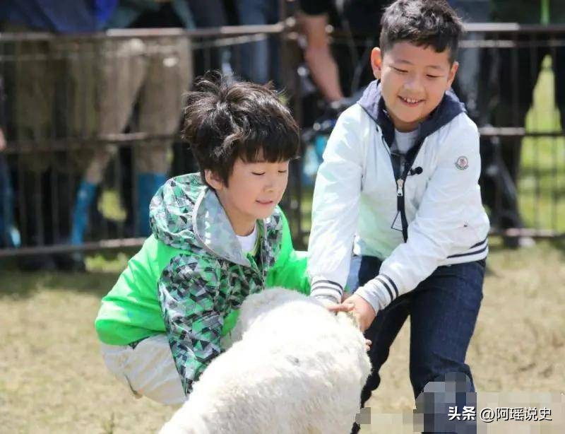 爸爸去哪儿石头天天,爸爸去哪儿石头康康