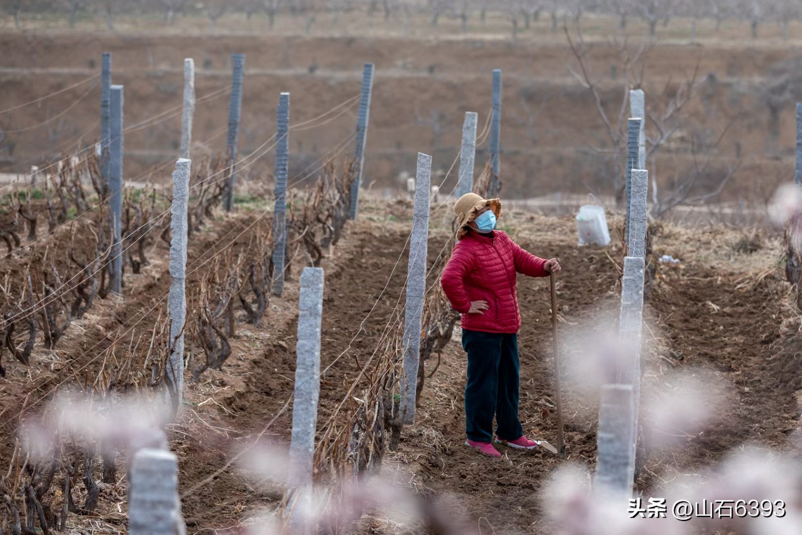 【战友美文】丁献礼“小诗余味”32:《来吧——与我一起种地吧》