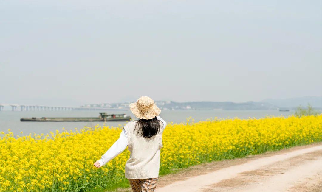 最美婺源油菜花跟风来一下,苏州自驾到婺源看油菜花的地方