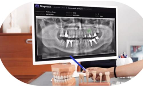 消费医疗各细分领域对比,消费医疗行业内幕