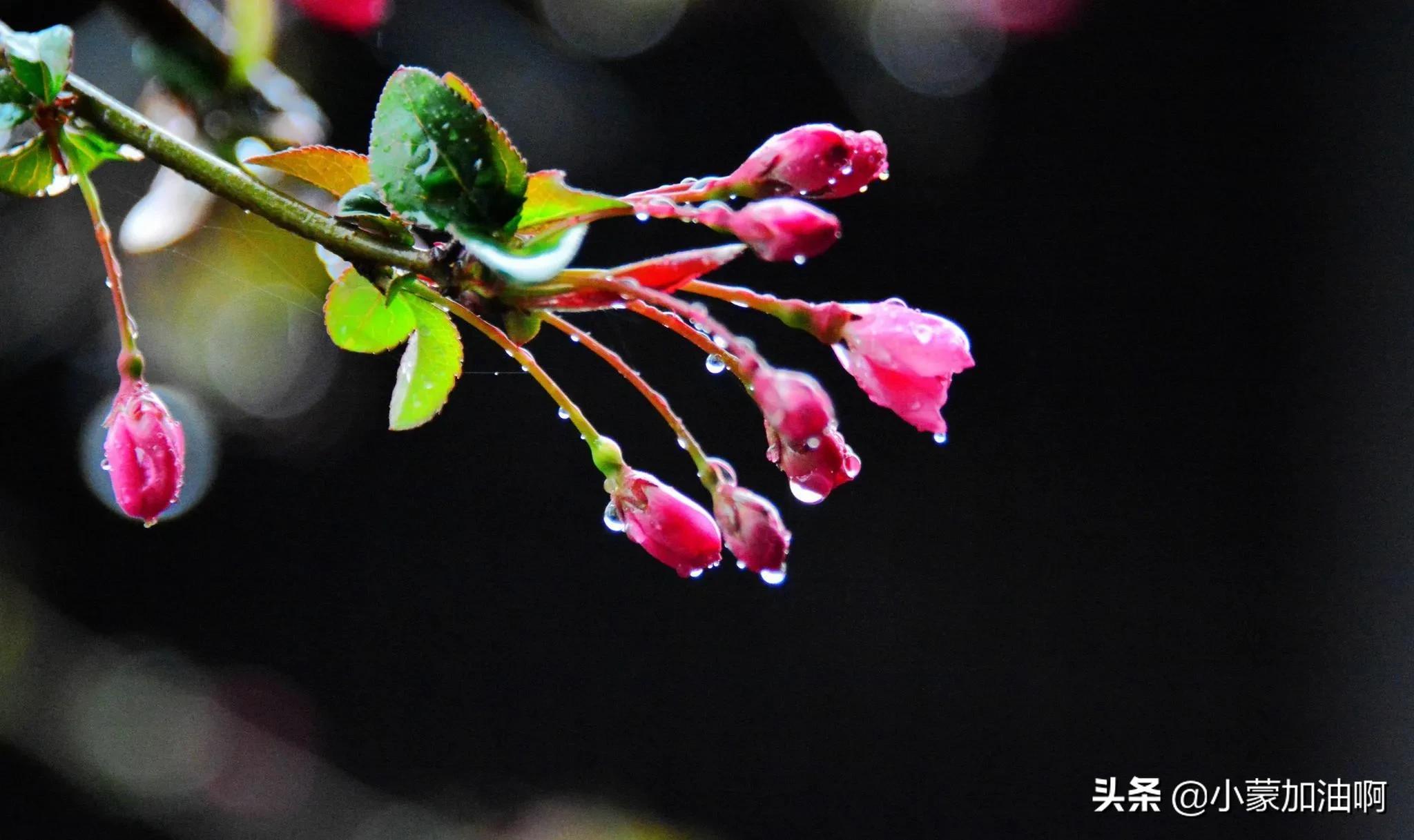 惊蛰前后打雷下雨有什么讲究,惊蛰刮风有什么预兆