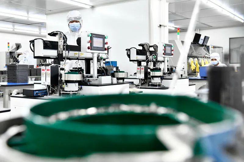 淇濆畾2023姘戠敓瀹炰簨,2023闈掔姘戠敓鍗佸ぇ瀹炰簨