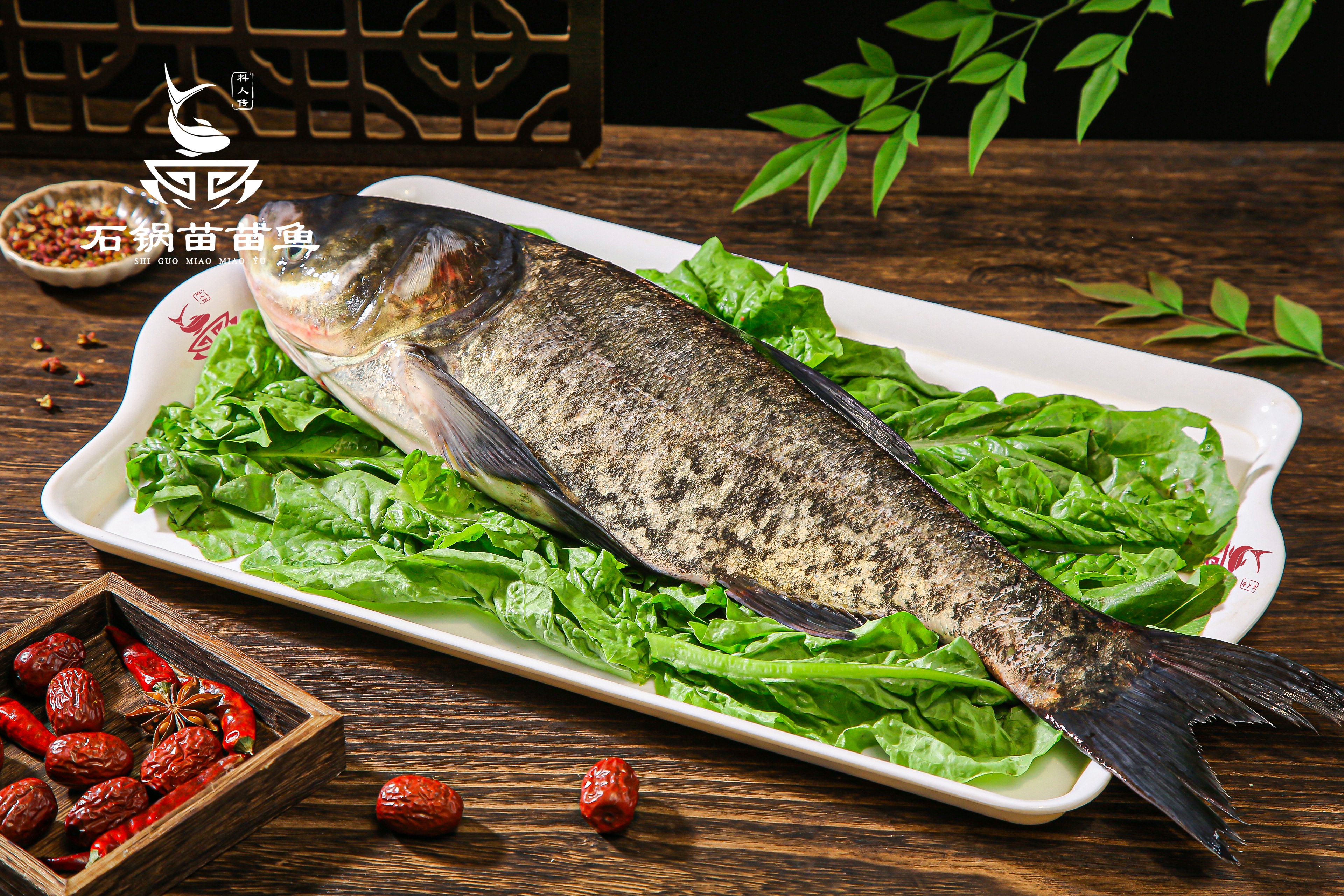 思旭石锅苗苗鱼：加盟火锅，新手小白的福音