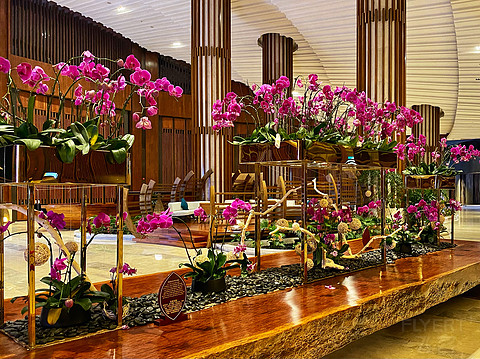 近乎完美的体验｜「三亚海棠湾天房洲际度假酒店」入住报告