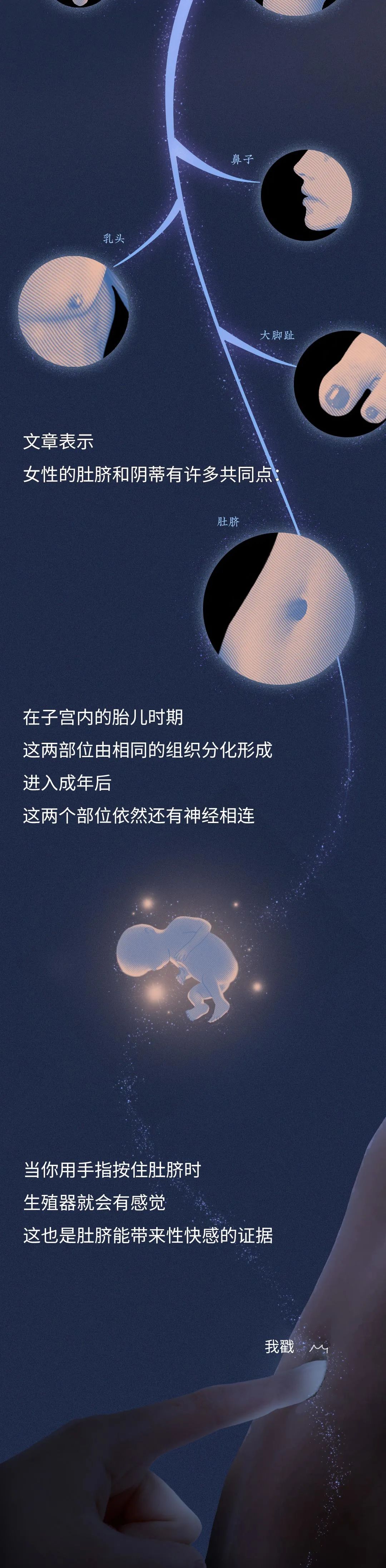 为什么女生露肚脐，会显得性感？（漫画）