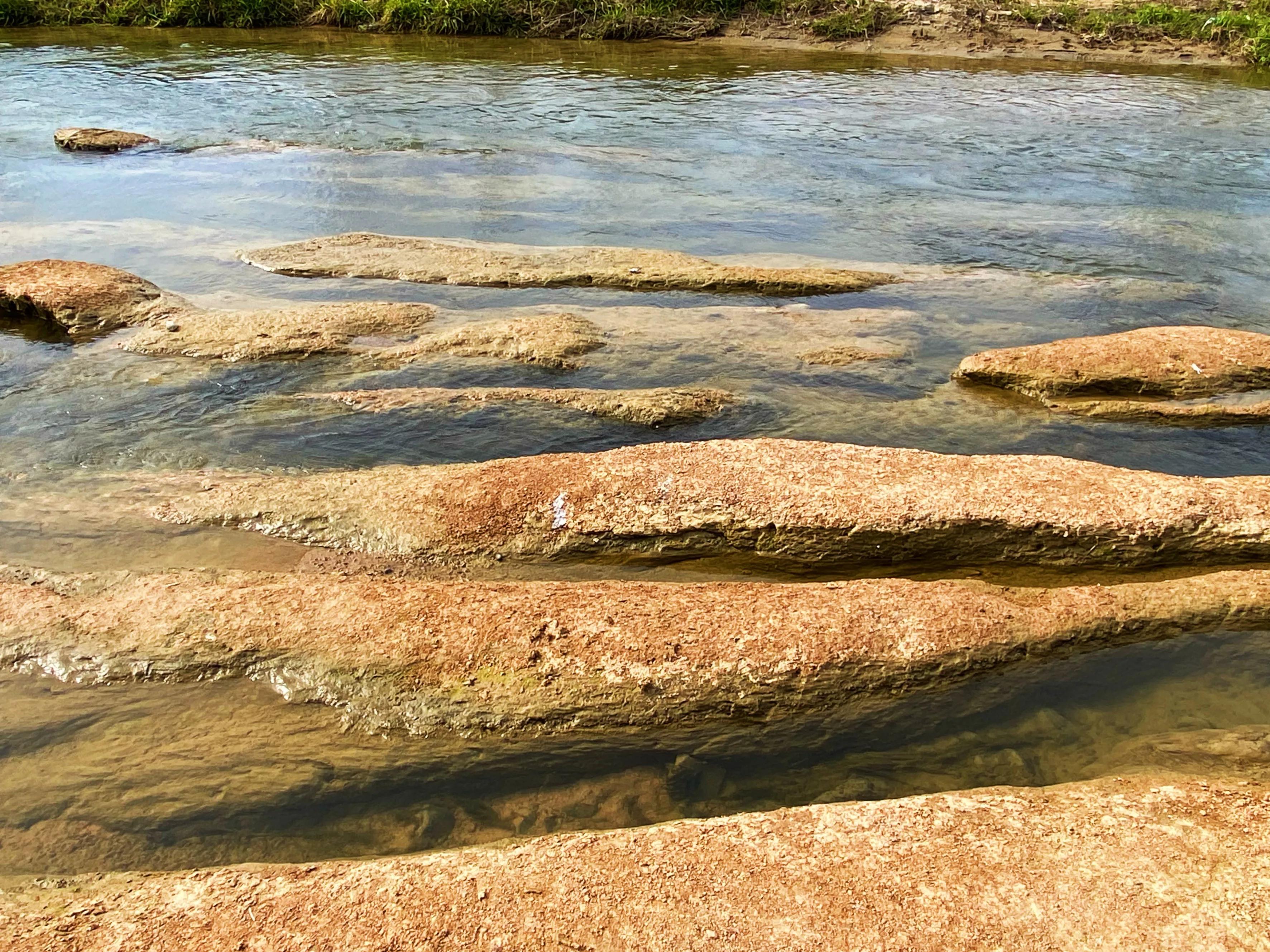河边的景色真是太美了,文川河风景