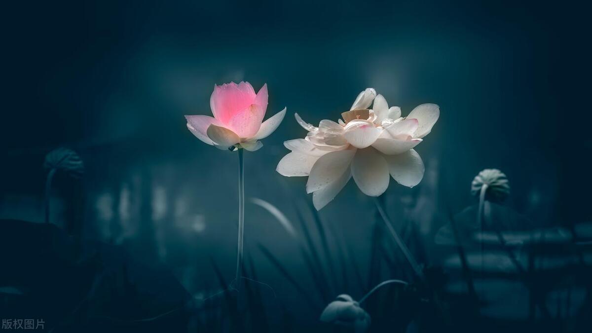 对公账户招商银行中国银行对比,招商银行股票行情东方财富网