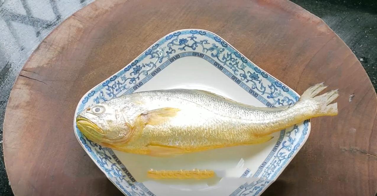 春季养生宜选择的几种野生海鱼,什么海鱼最好养又营养