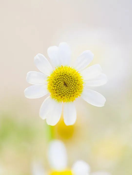 一年中最有智慧的节气图片,365天最美24节气图诞生惊艳国人