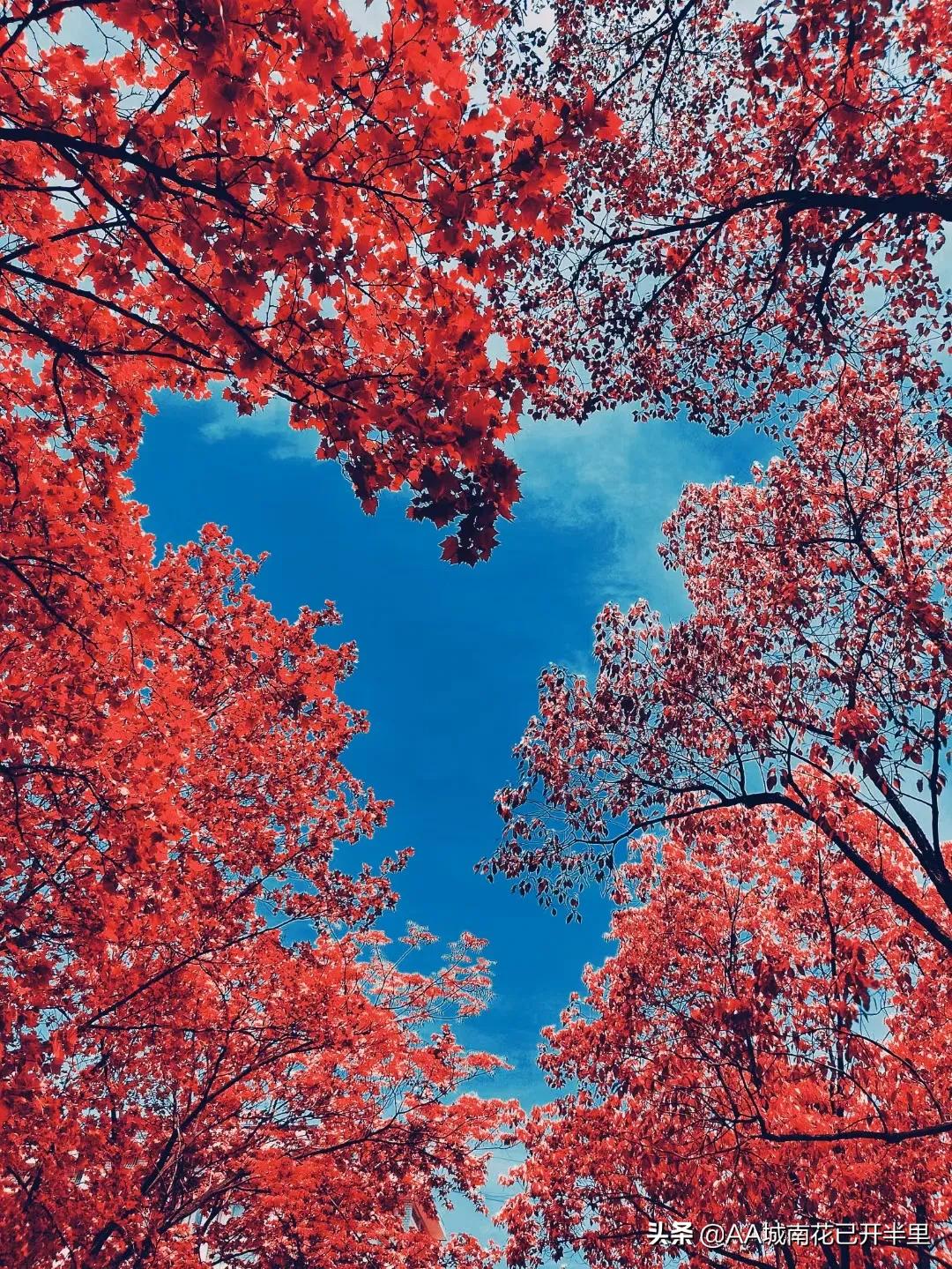 中国知网是纯独立外资，网友：我*载下**自己的论文还要付费