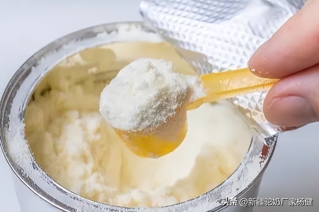 怎么储存奶粉,怎样储存骆驼奶呀