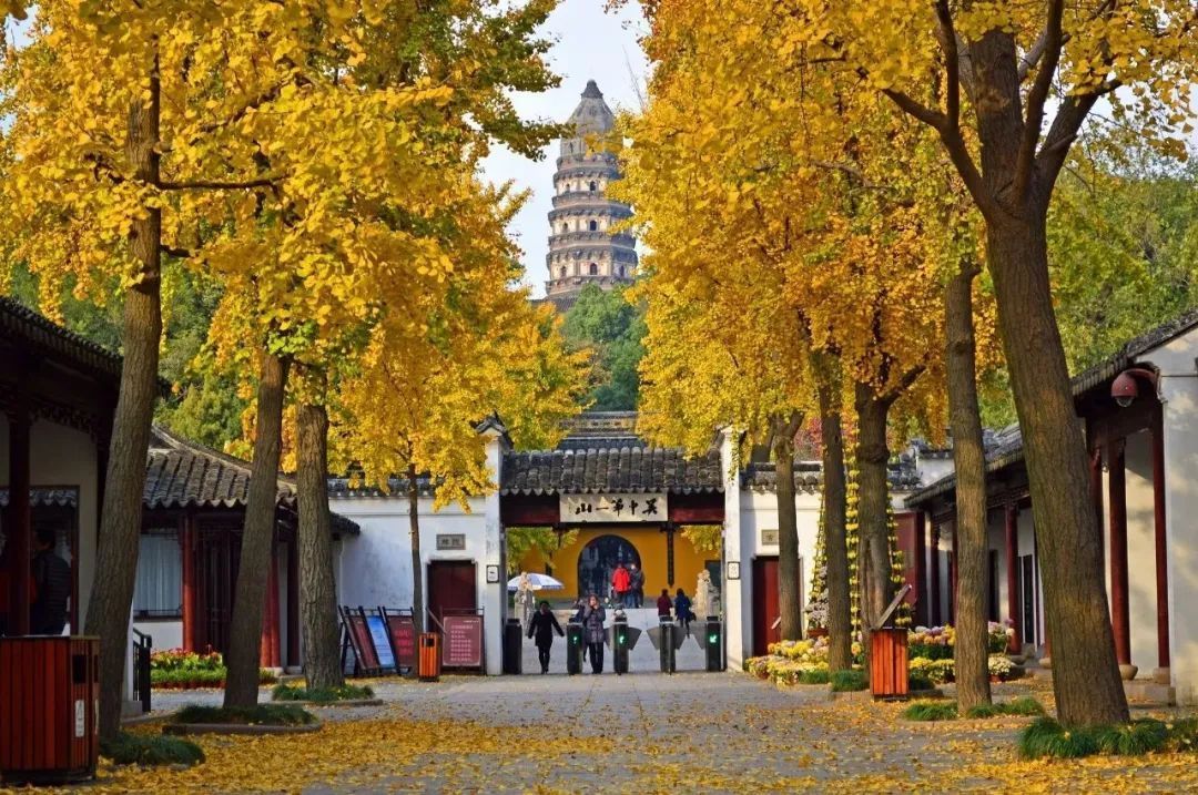 苏州旅游自驾一日游,苏州旅游一日游亲子游