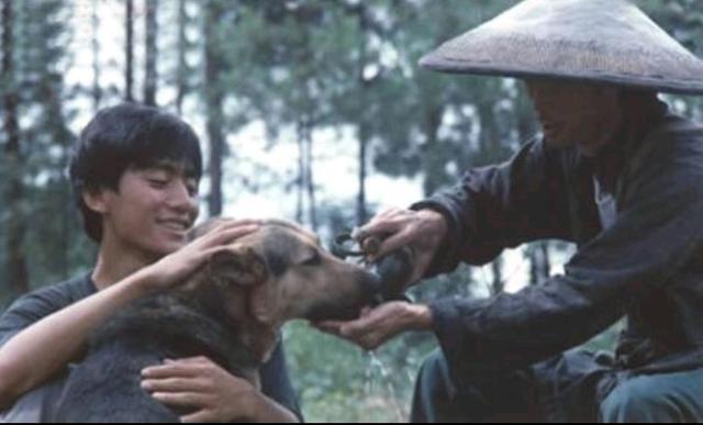 刘烨酗酒场面,刘烨酗酒成瘾是什么原因