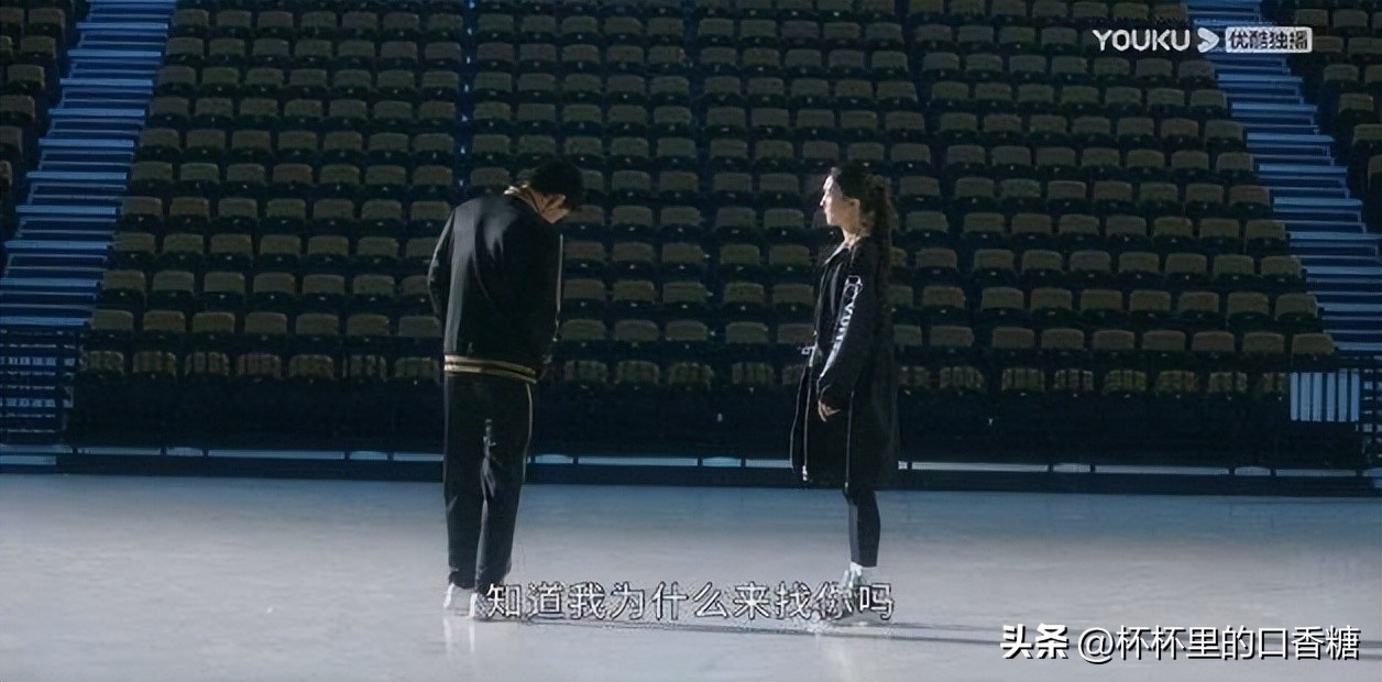 炽道王安宇和金晨引体向上,炽道王安宇和金晨在一起