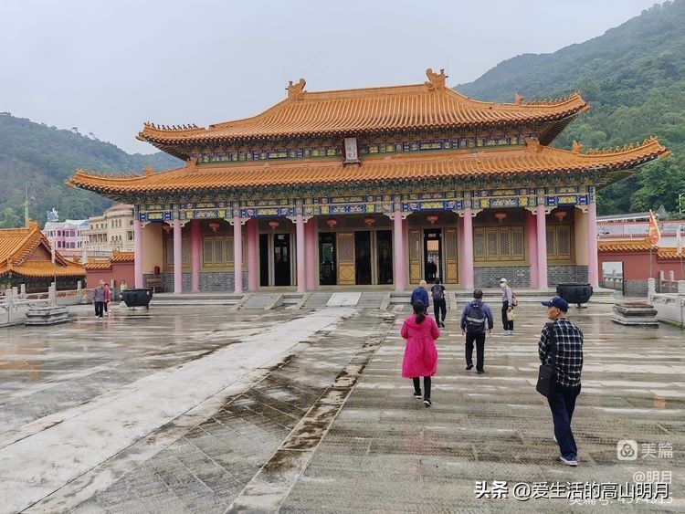佛山至香港一日游,广州佛山一日游遛娃的好地方
