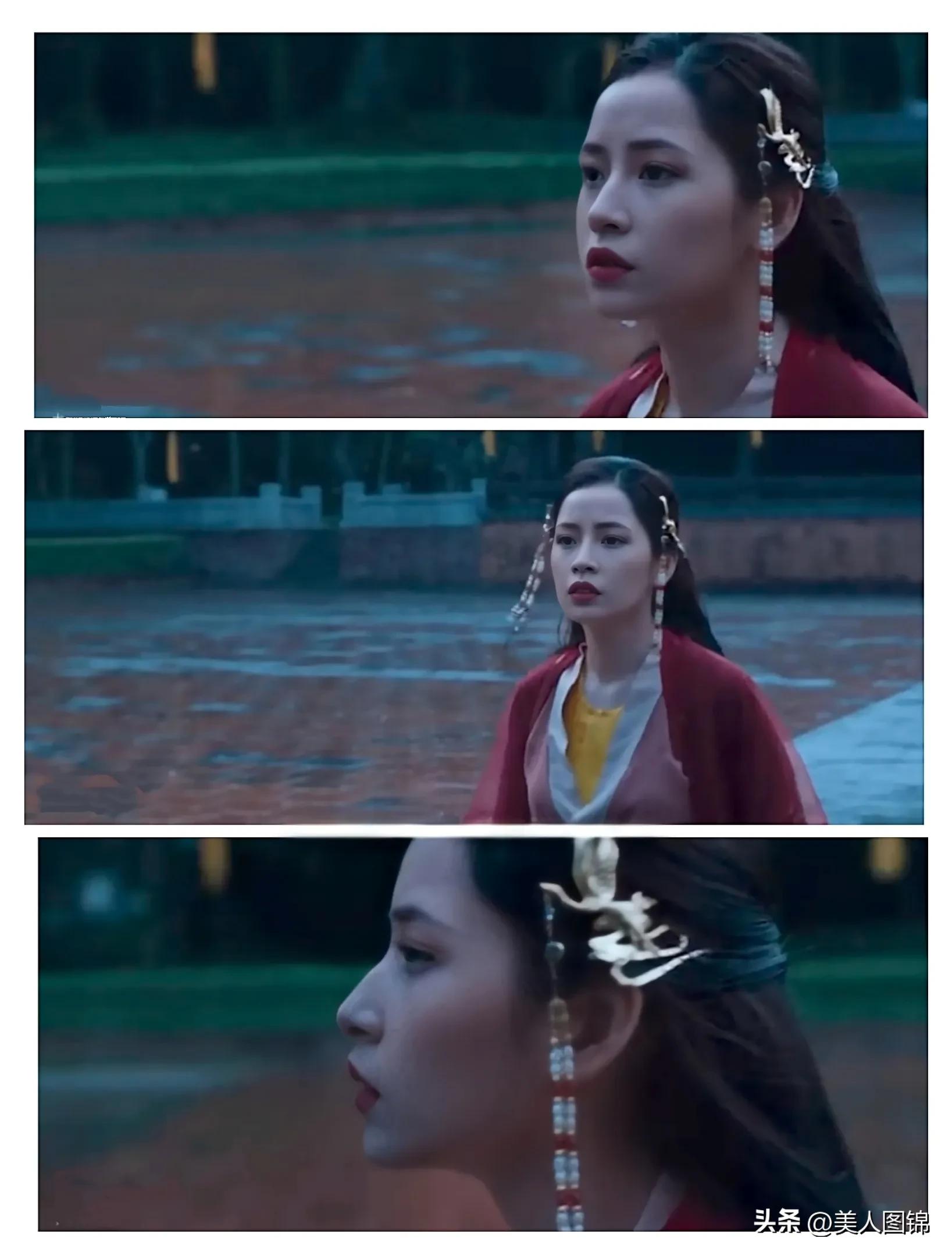 越南芝芙,芝芙越南