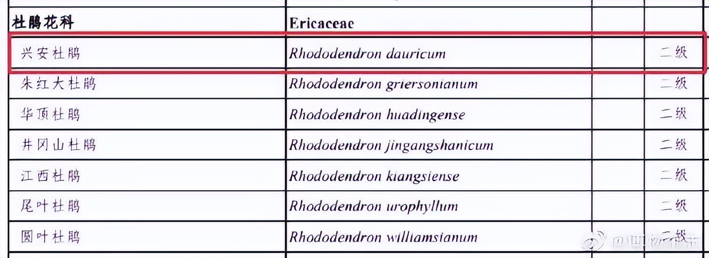 权威解读谣言粉碎机,谣言粉碎机