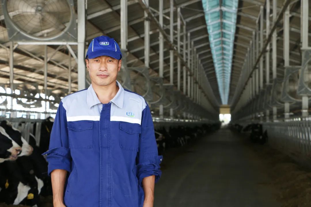 君乐宝威县乐源君享,君乐宝农场纪录片