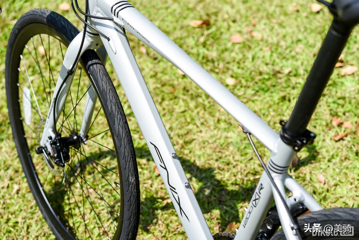 19款三阳火凤凰fnx150评测,19款三阳火凤凰fnx150测评