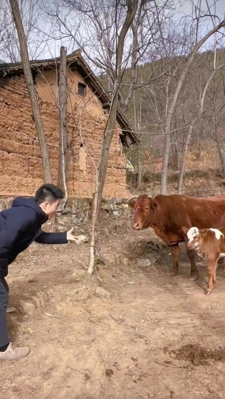 董宇辉聊婚姻现实,董宇辉谈女儿的视频