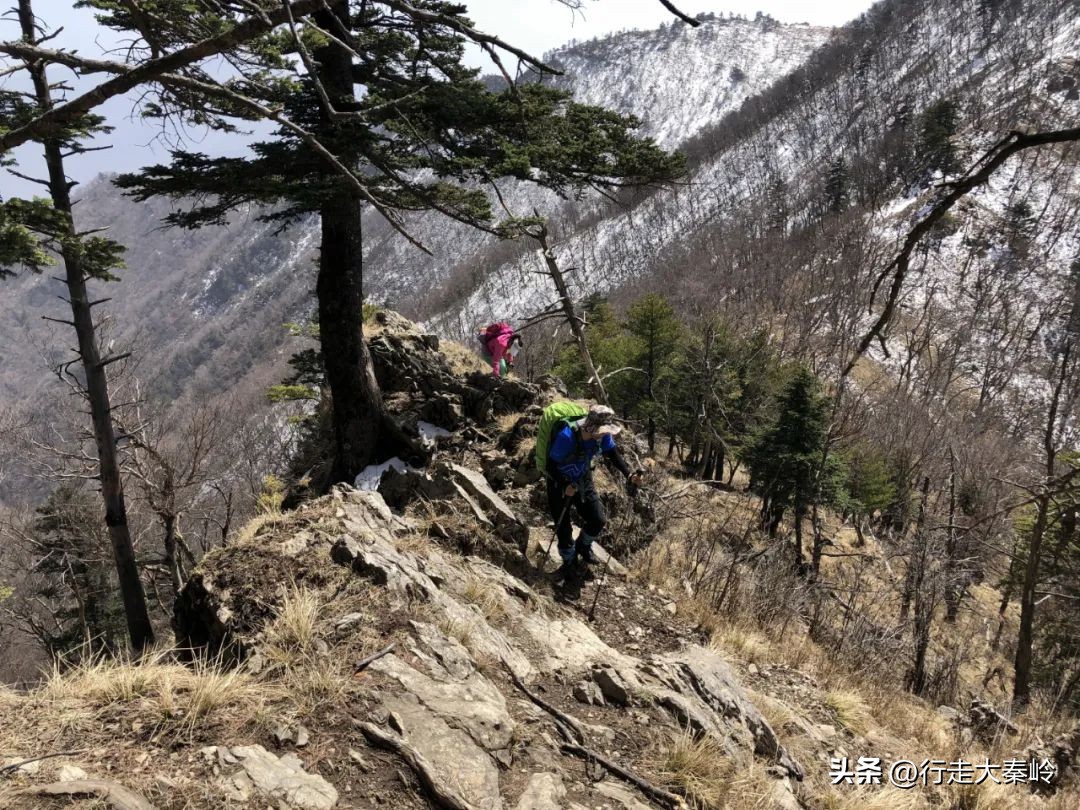 首阳山穿越大坪梁景色怎么样,大坪梁穿越到首阳山攻略