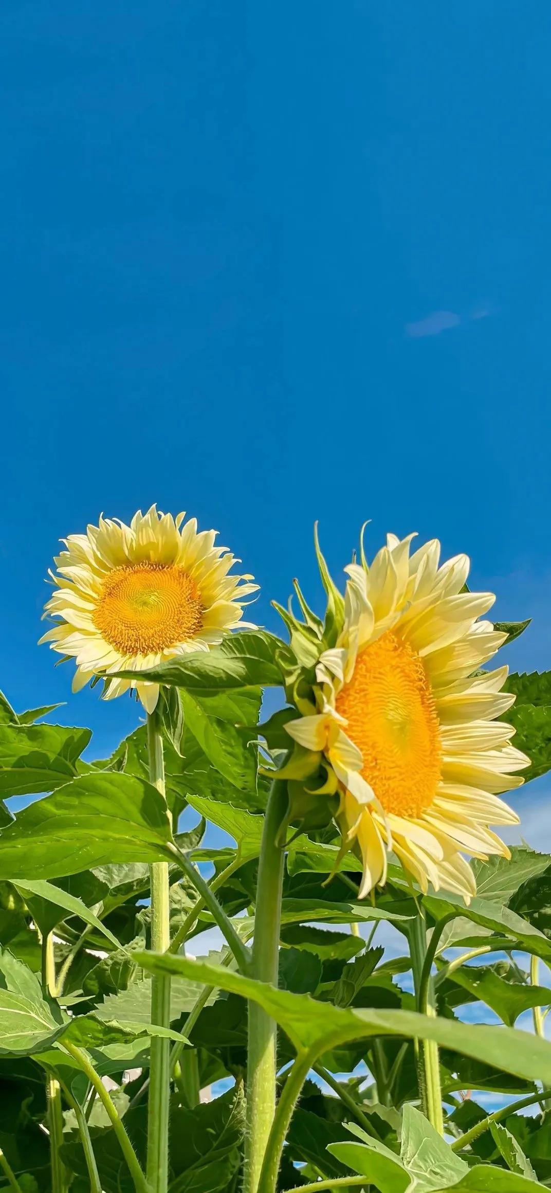 银行资管业务有哪些,银行资管盈利模式重塑