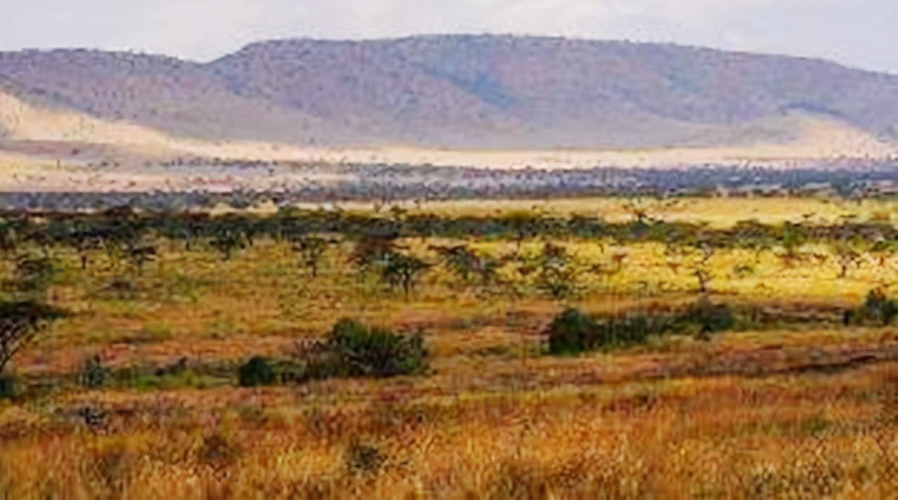 坦桑尼亚翻脸无情,坦桑尼亚对待中国人态度