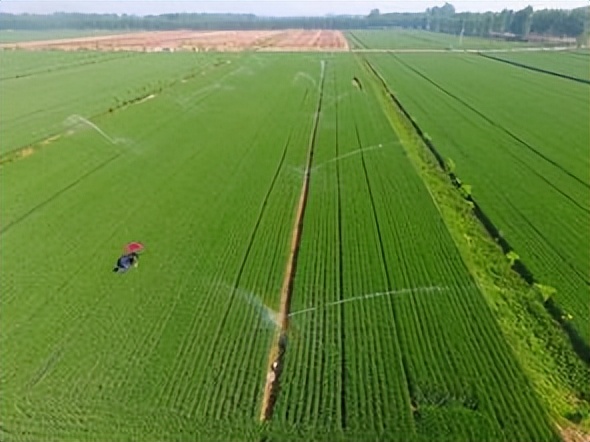 农业生态补偿机制,从生态效益说生态补偿的优缺点
