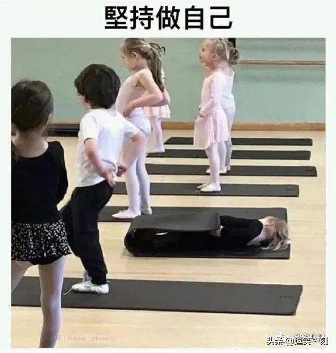 姐妹间的远大梦想，哈哈哈曾梦想仗剑走天涯，后因预算不足而取消