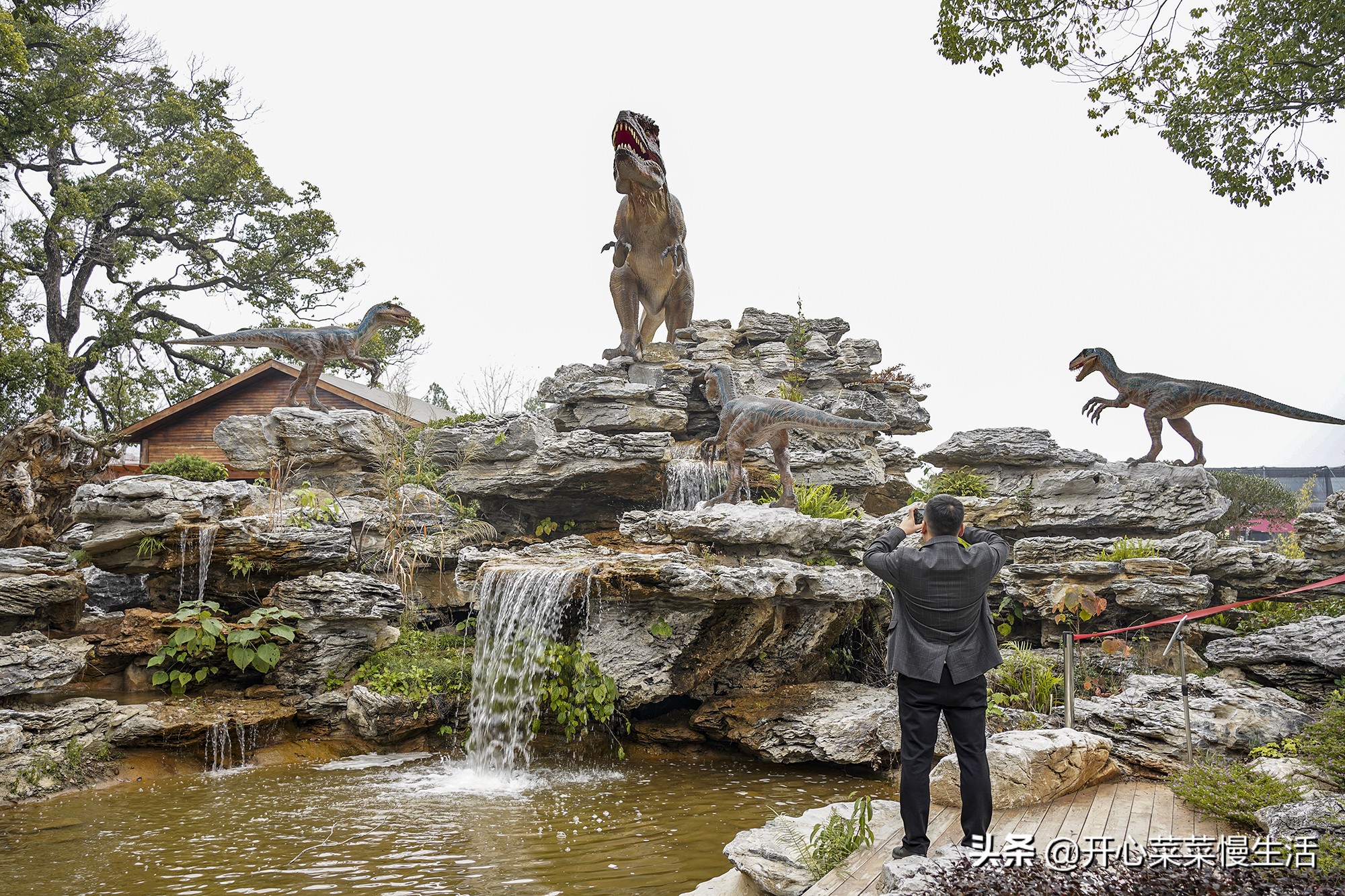 广东兰花第一县,中国最漂亮的兰花小镇