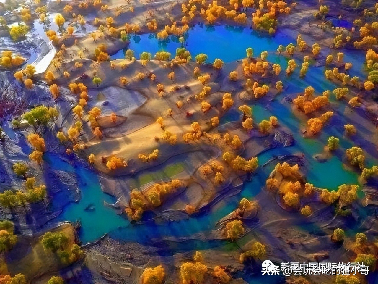 2023国内最适合秋游的地方！退休必看、人少实惠！去了就不想回家
