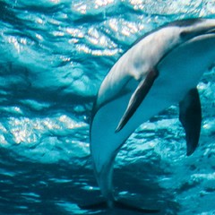 青岛旅游攻略十大景点介绍,青岛旅游攻略必去十大景点示意图