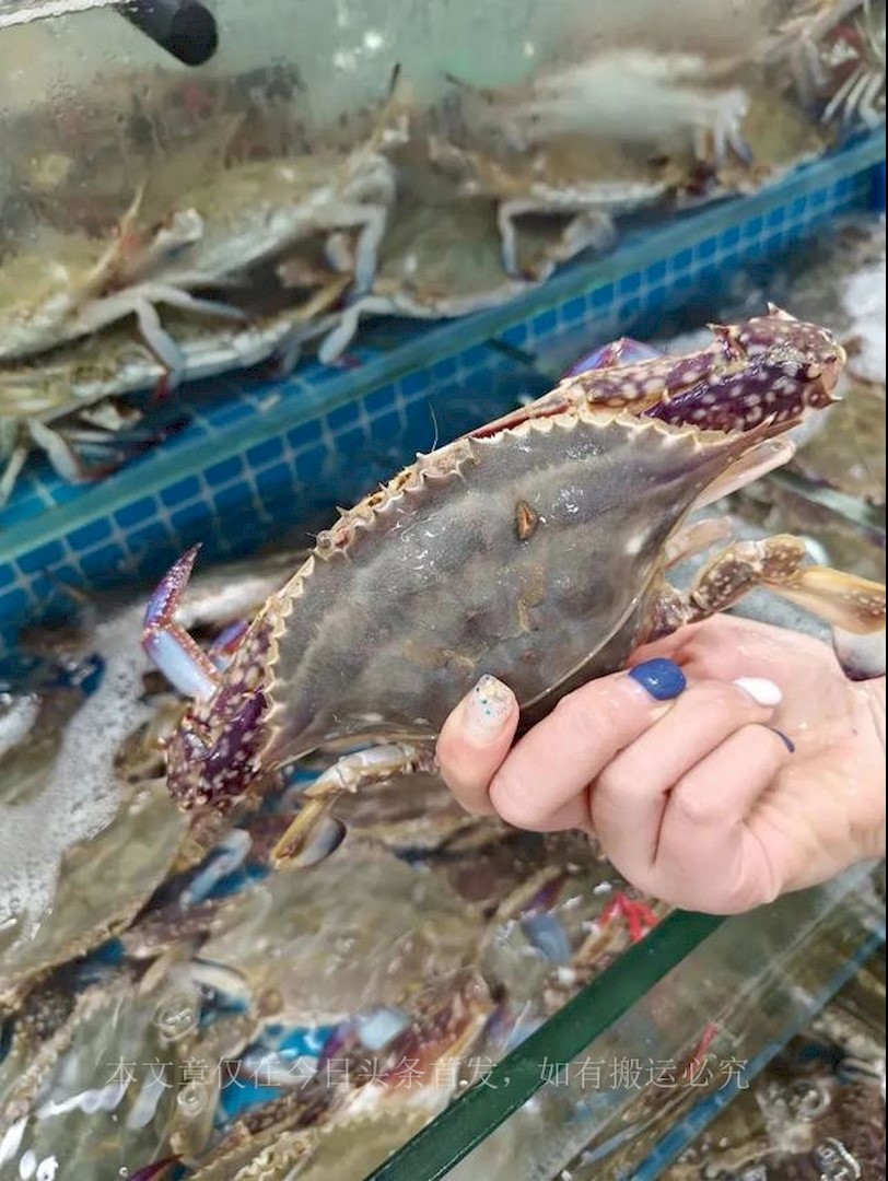 开渔第一天海鲜价格,开渔期第一波满载而归