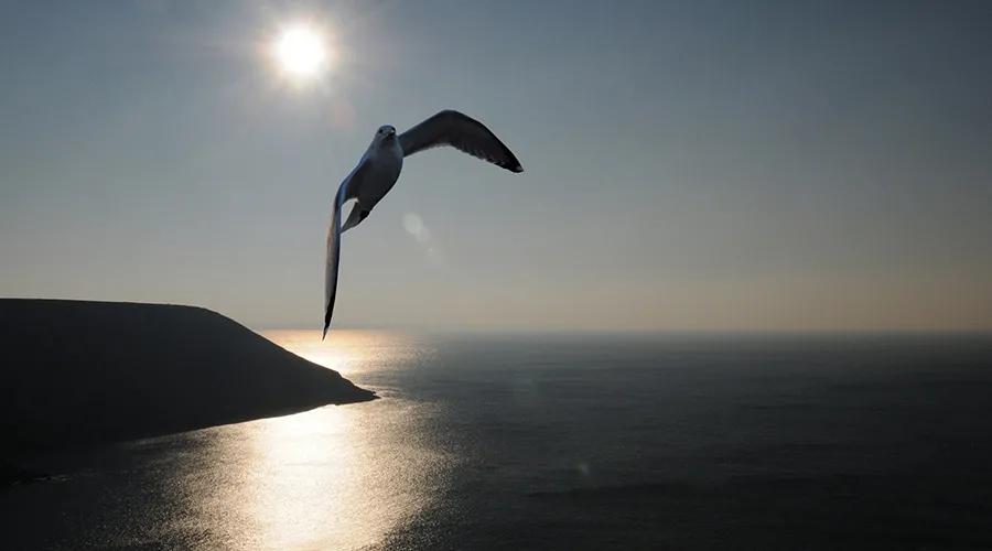 定罪不捕跟取保候审是一个意思么,存疑不捕案件是否一定取保候审