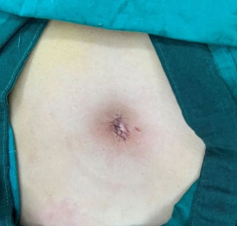 美丽与健康同在,美丽与健康并存