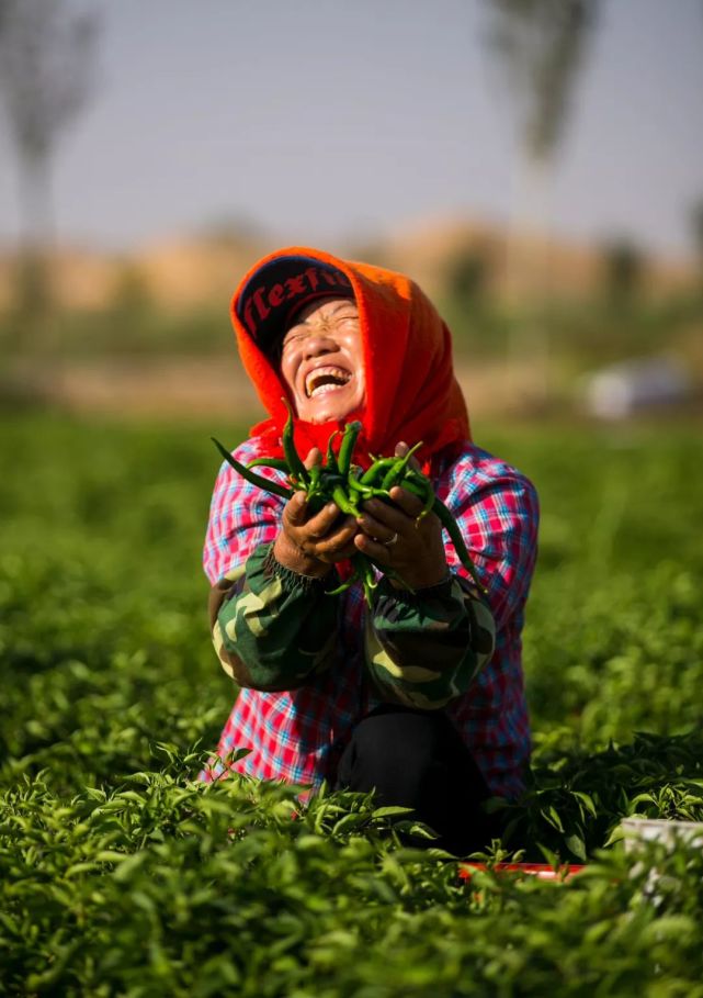 中国神奇胶水让沙漠变绿洲,中国科学家发明胶水沙子变土壤