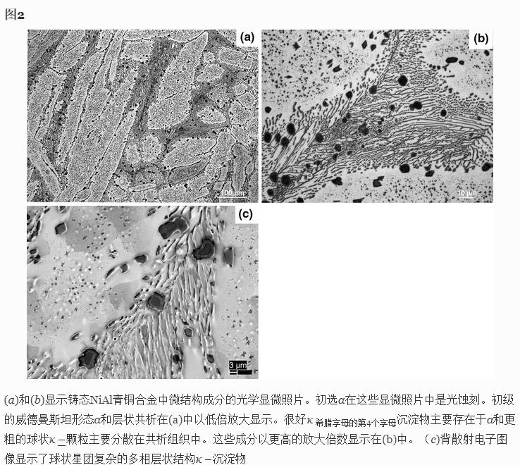 摩擦搅拌加工热机械循环中并发应变对NiAl青铜相变的影响
