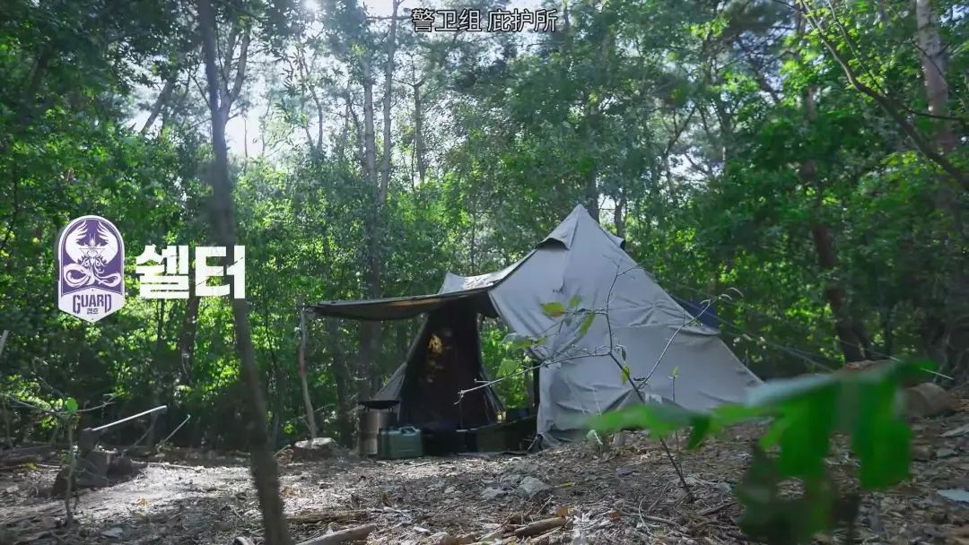 全程高能的几期综艺,全程高能真的很精彩吗