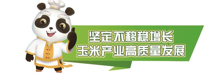 玉米深加工产业,玉米深加工提升产品附加值