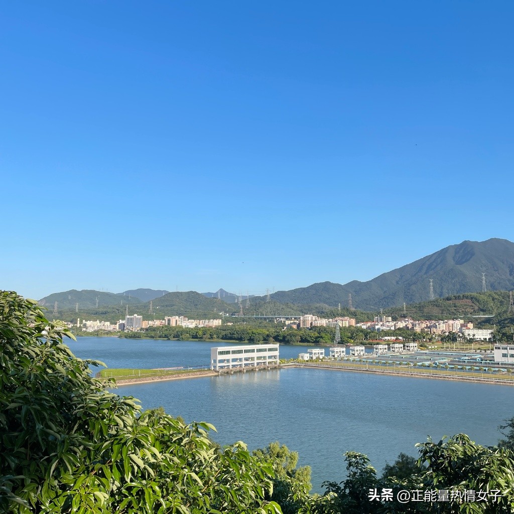 深圳市罗湖淘金山绿道登山口,深圳淘金山绿道海拔高