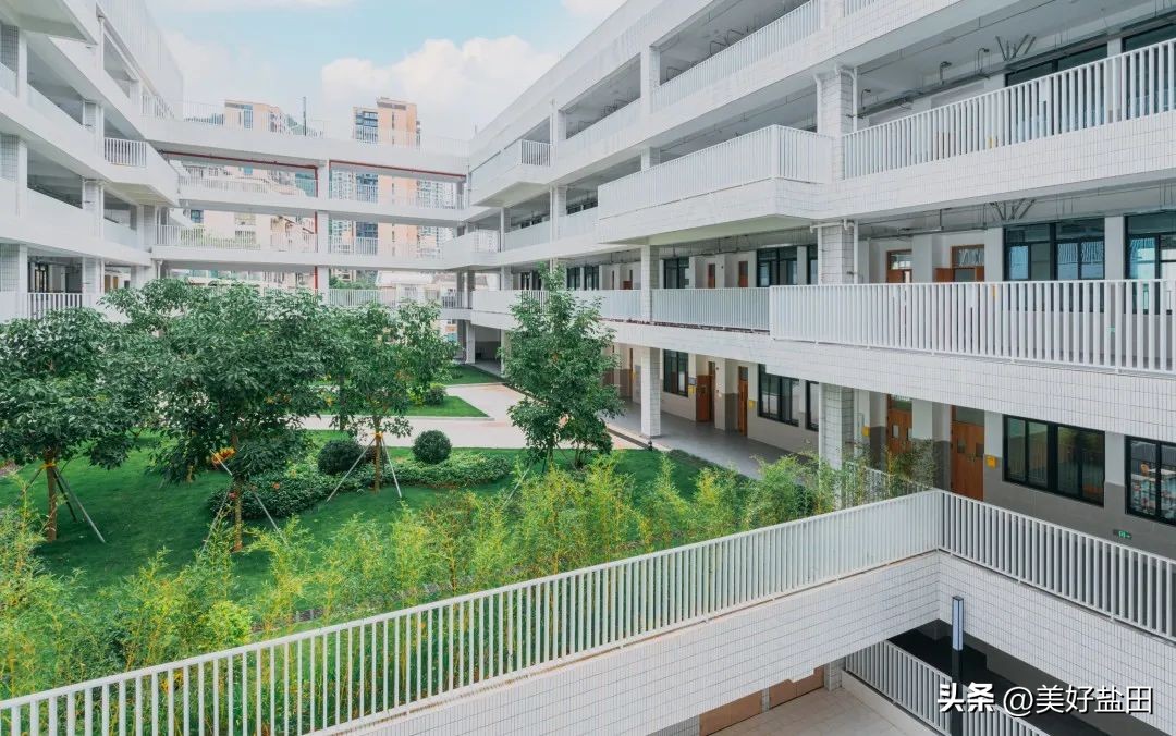 市属名校落地盐田——盐田区政府和深圳高级中学举行合作办学签约揭牌仪式